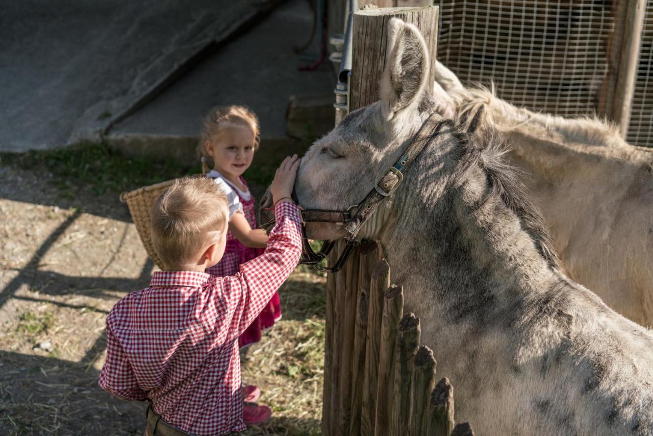 Familienhotel Replerhof Mit Kinderbetreuung Prägraten Extérieur photo